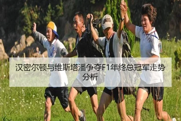汉密尔顿与维斯塔潘争夺F1年终总冠军走势分析